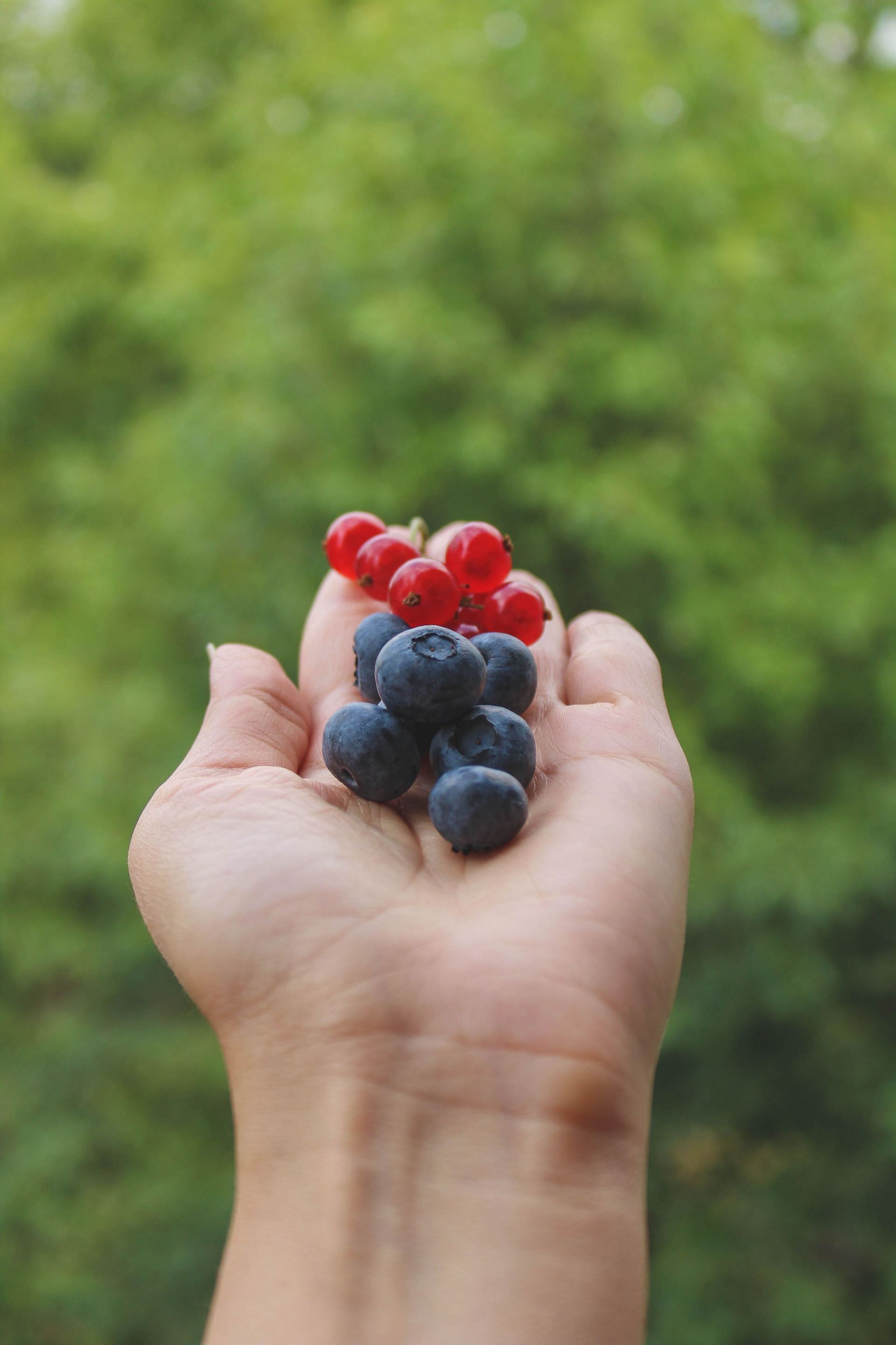 Image via Pexels